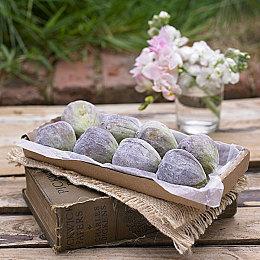 《勇敢小骑士》实机演示 2024年登陆全平台